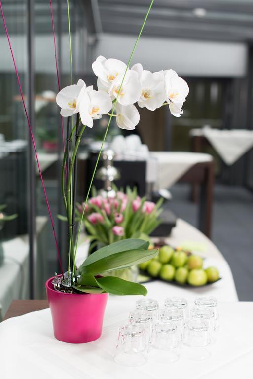 Hotel Meierhof Хорген Екстериор снимка